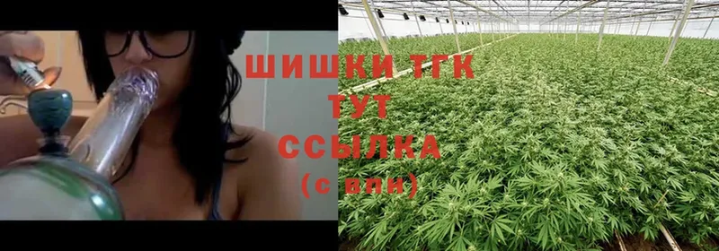 купить  сайты  Калтан  Шишки марихуана Ganja 